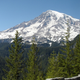 Mount Rainier from a turnout around Paradise.